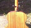 Taylor 355 back view 2