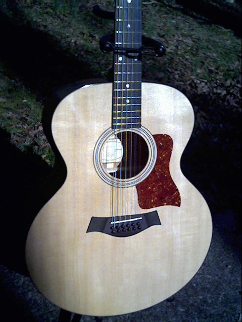 image title is /guitars/Taylor 355 front view