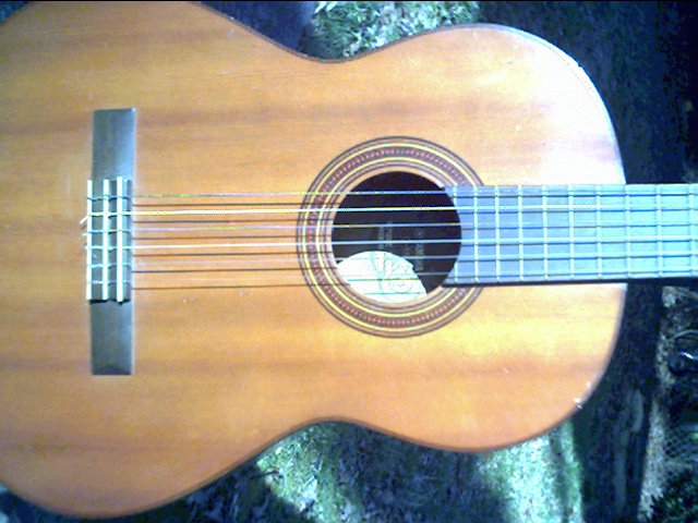 image title is /guitars/Yamaha g-55 front view 4
