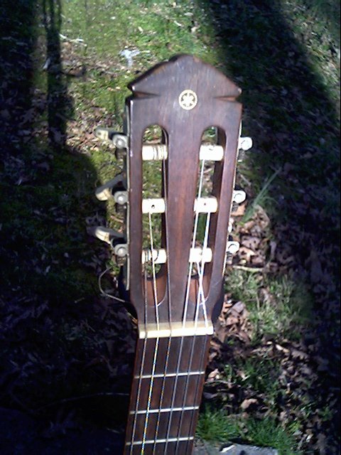 image title is /guitars/Yamaha g-55 headstock