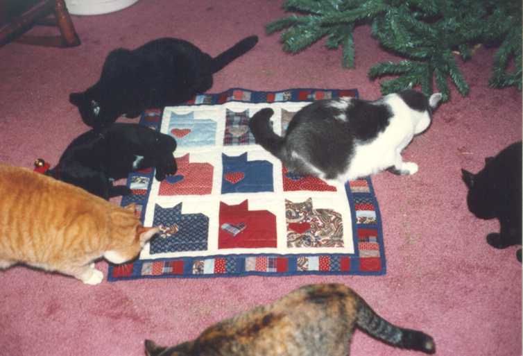 image title is Deb's 15 Cats, 1994